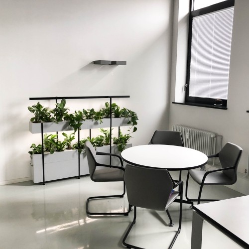 The Greenest Company - Space Plant